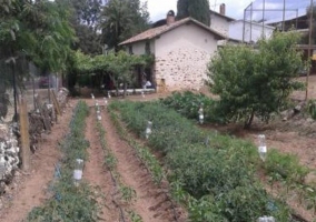 Huerto ecológico junto a la vivienda