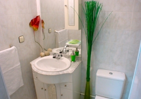 Aseo con lavabo y espejo