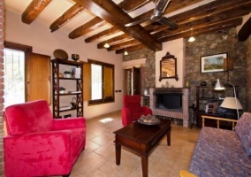 Zona de estar con chimenea
