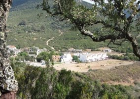 Vistas de las zonas verdes comunes
