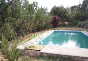 Piscina de la vivienda