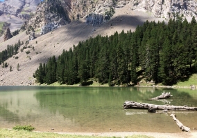 Zona natural con paisajes