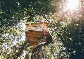 Cabañas en los Árboles Euskadi