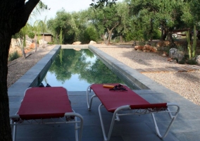 Acceso a las zonas de piscina con hamacas