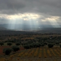 0_40928342-5DE9-419B-B2FA-8208B73C66E5.jpeg