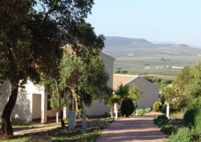 Pernales - Cortijo La Cañada