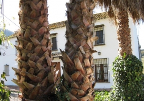 Vista del rio desde la casa