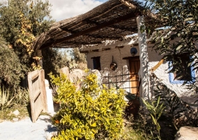 Acceso a la casa con plantas justo delante