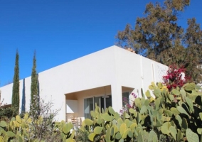 Suite Pequeña