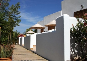 Caballito de Mar