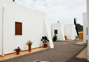 Anémona Dorada