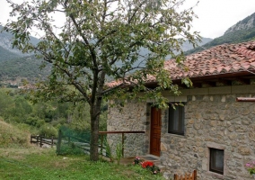 parte posterior