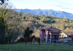 exteriores de la casa