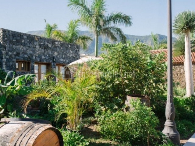 Finca El Patio- Apartamento de 2 dormitorios en Los Realejos (Tenerife)