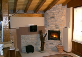 Chimenea y tele en la habitación