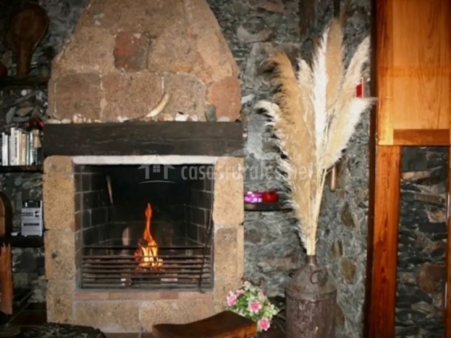 Finca la maleza en hermigua (la gomera)