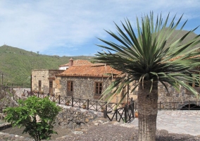 Acceso a la casa por zona con palmeras