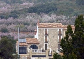 Acceso principal a la vivienda con naturaleza de fondo