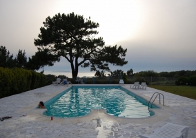 Piscina rodeada de un amplio jardín