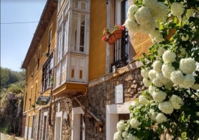 Acceso al alojamiento con plantas de colores