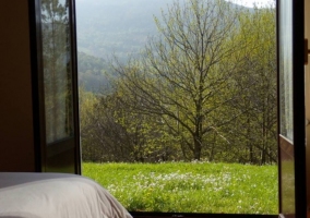 Habitación cuádruple