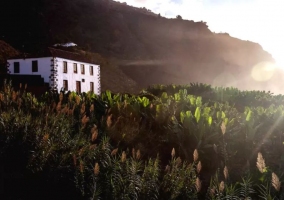 Amplias zonas naturales alrededor de la casa