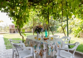 Amatalasviñas - Nuñocojo