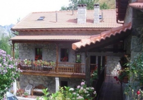 Terraza de madera con plantas