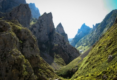 Picos de Europa