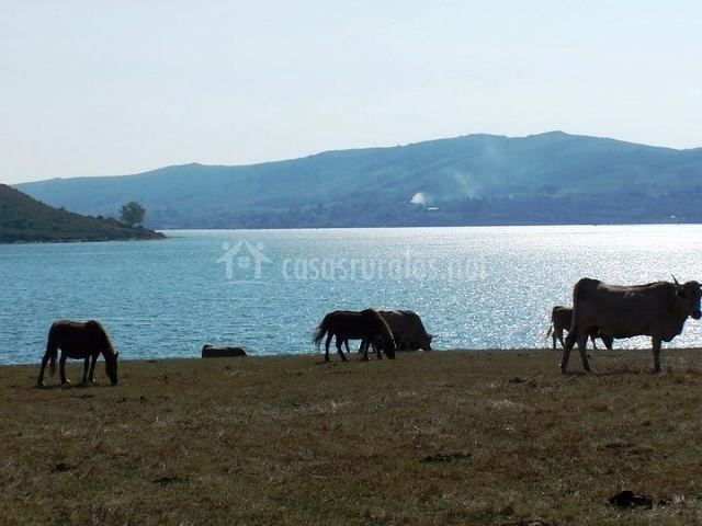Casa del Lago de Campoo en Orzales (Cantabria)