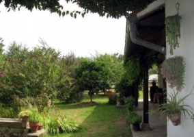 Jardín con plantas locales