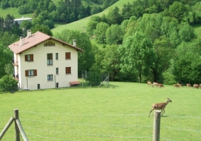 Casa en plena naturaleza