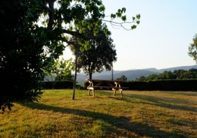 Piscina en el jardín