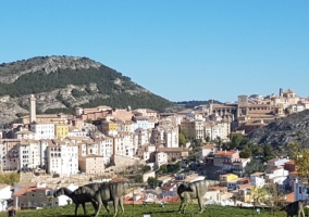 Parque de los Dinosaurios