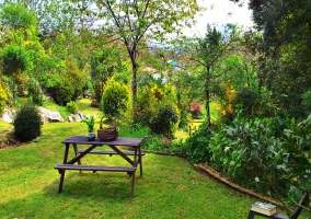 Zona de comedor y el salón