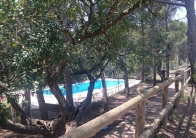 Piscina entre la naturaleza