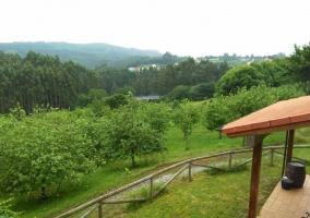 Apartamento 1 La Cantera