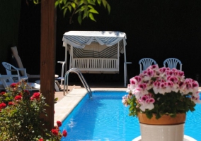 Columpio junto a la piscina