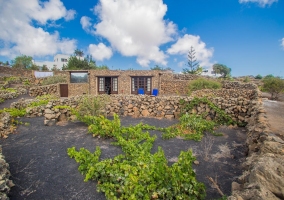 Acceso a la casa con plantas y la casa