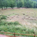 0_20190824_181958.jpg