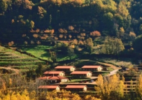 Apartamento 7