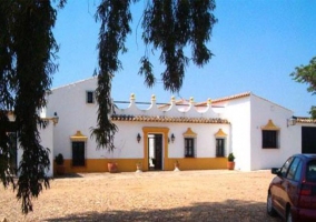 Large pool of the house with plants