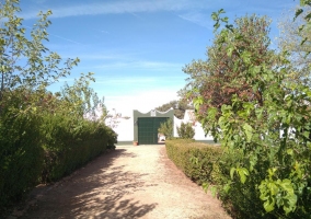 Finca La Marina