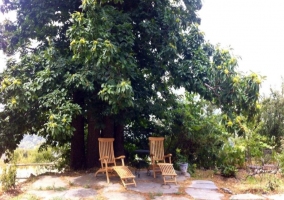 Banco de madera al aire libre