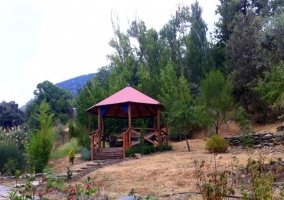 Hamacas al aire libre
