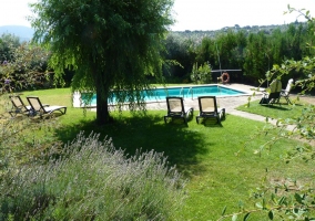 Piscina común de la casa