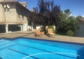 Vistas de la piscina con las hamacas