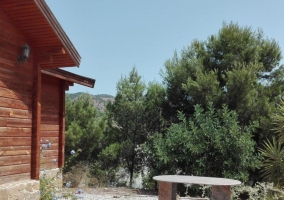 Sala de estar con paredes de madera y ventana