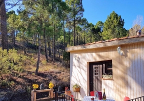 Sala de estar con cuadros y ventana