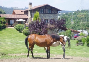 jardín